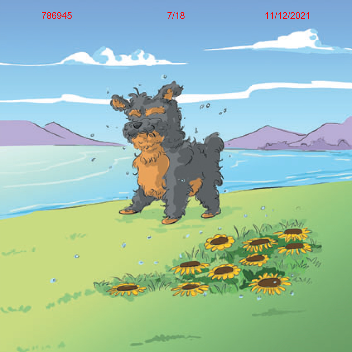 Illustration 7